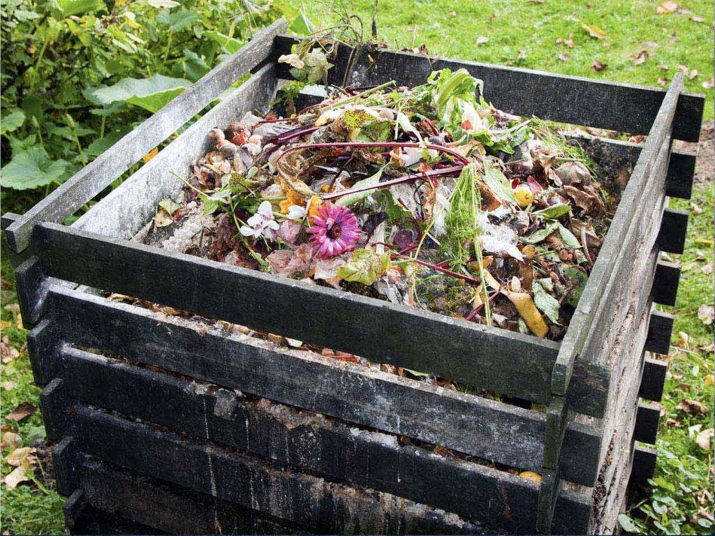 Food Waste - Compost Bin