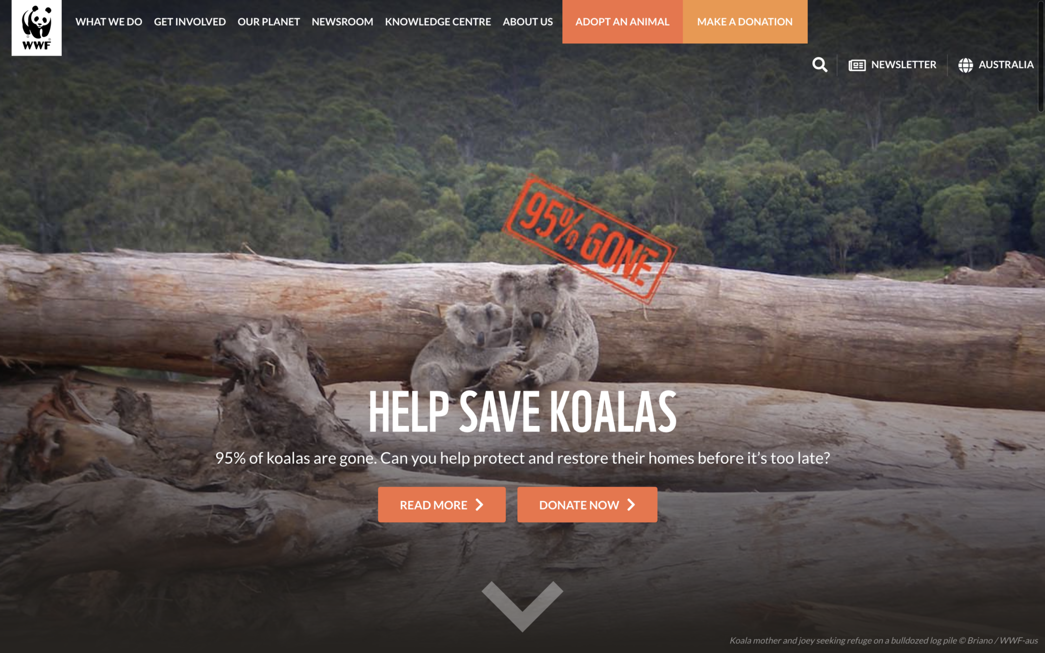 Image of hero section - WWF-Australia homepage