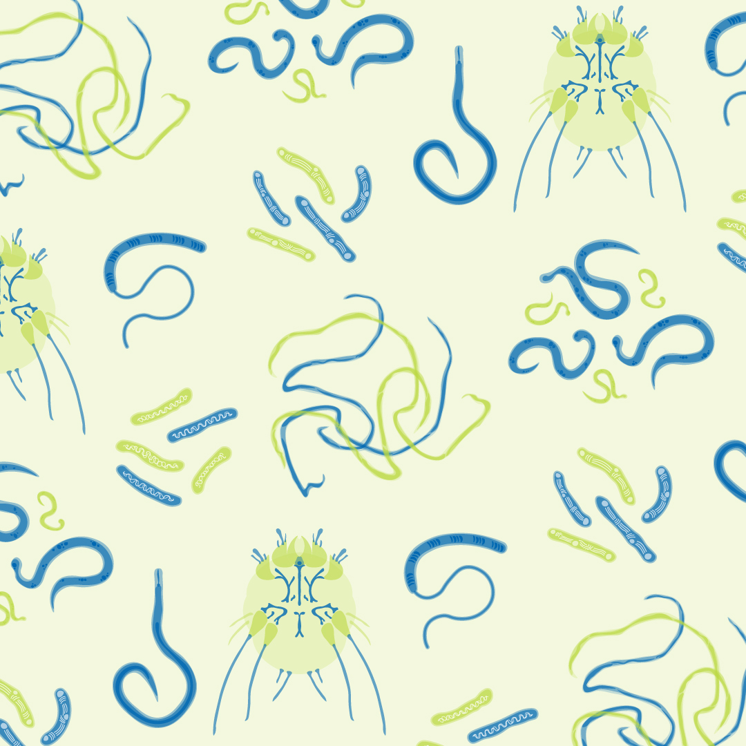 Image features: pattern made from disease illustrations as featured on the MDGH website