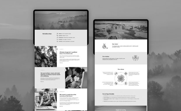 Eisen Family Private Fund featured image - mockup showing Pillars and Purpose web pages in greyscale