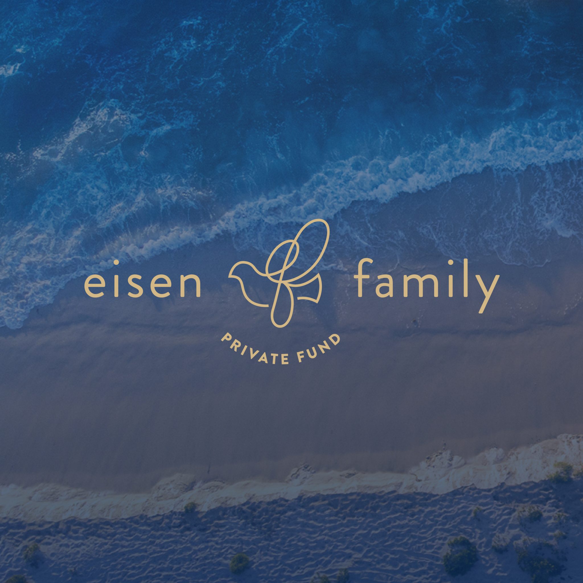 Eisen Family Private Fund full logo in gold on a beach image background with dark blue overlay