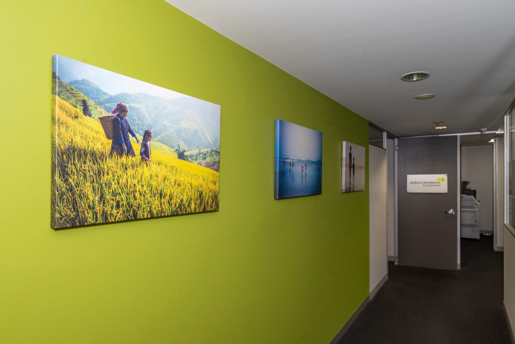 Close-up of large gallery-wrapped canvas photo prints, designed and printed by EDCo., displayed on the green feature wall at MDGH’s office.