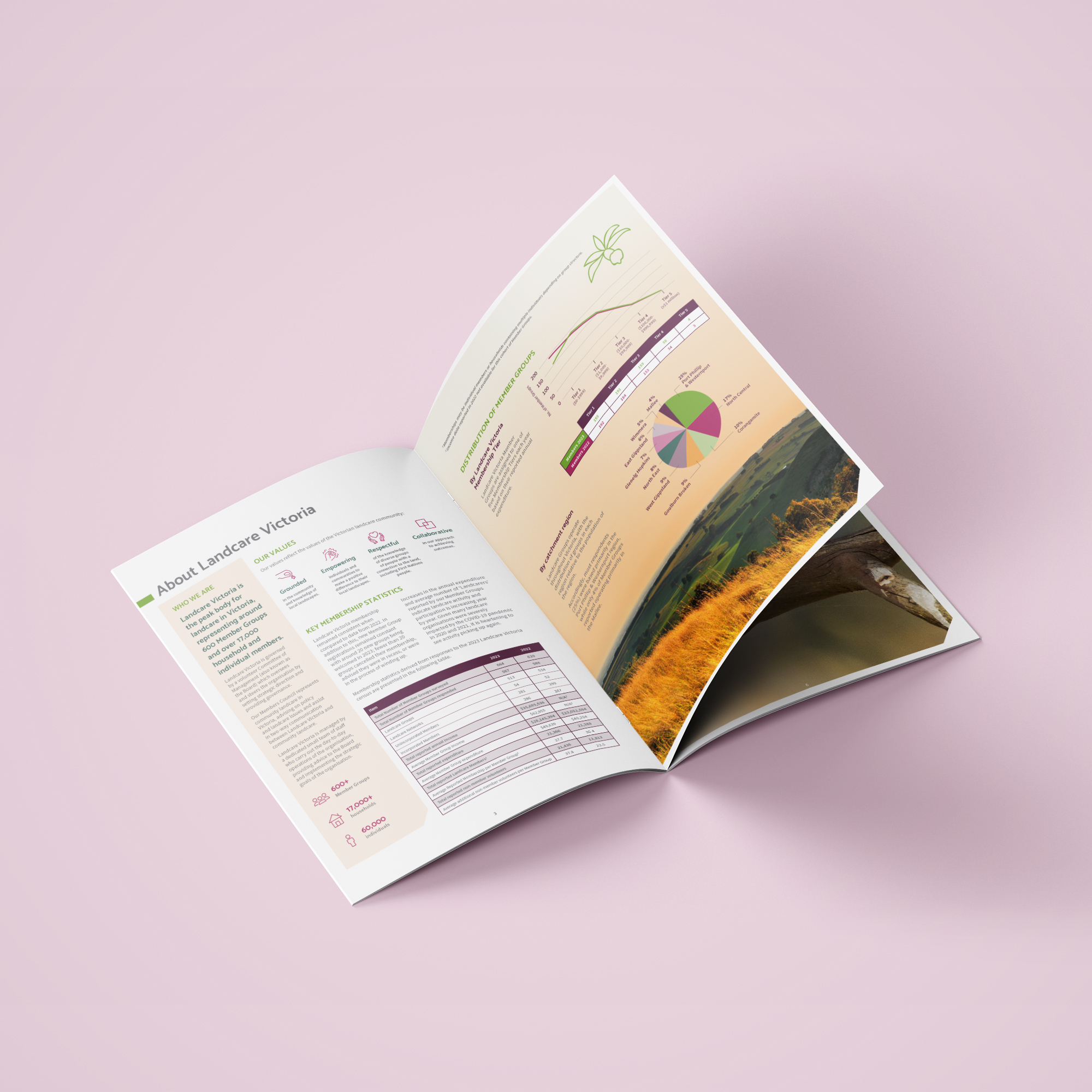 Full colour mockup of an open spread from the 2024 Annual Report for Landcare Victoria, featuring the 'About Landcare Victoria' section on the left page and financial summary tables and a detailed infographic on the right page, on a light pink background.