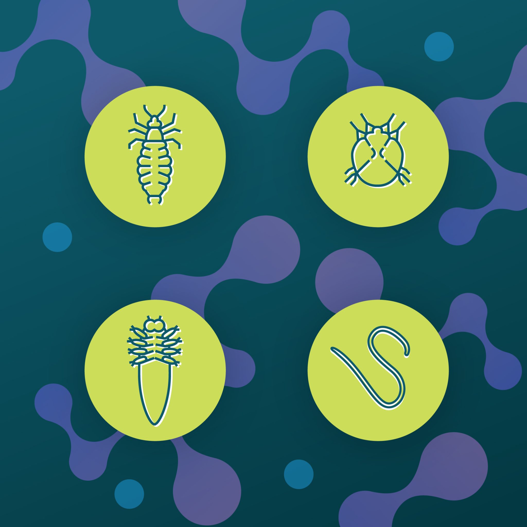 Colourful custom disease icons by EDCo. for Atticus Medical, illustrating infectious diseases on lime green circles against a dark background.