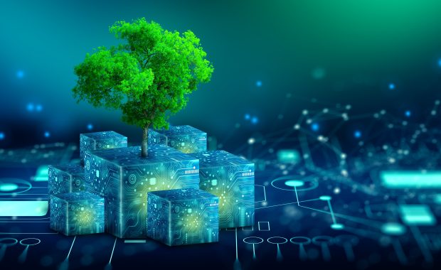 Bright green tree growing from stacked digital cubes on a glowing tech circuit background, representing the intersection of sustainability and digital innovation.