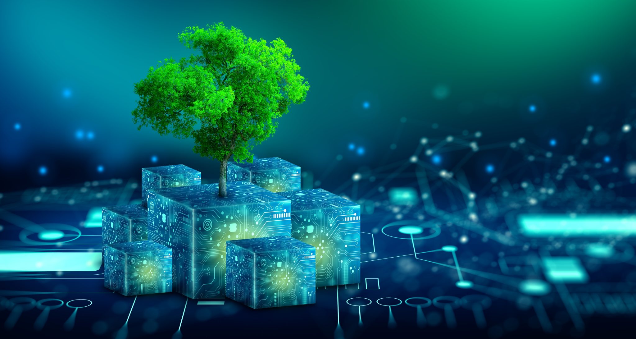 Bright green tree growing from stacked digital cubes on a glowing tech circuit background, representing the intersection of sustainability and digital innovation.