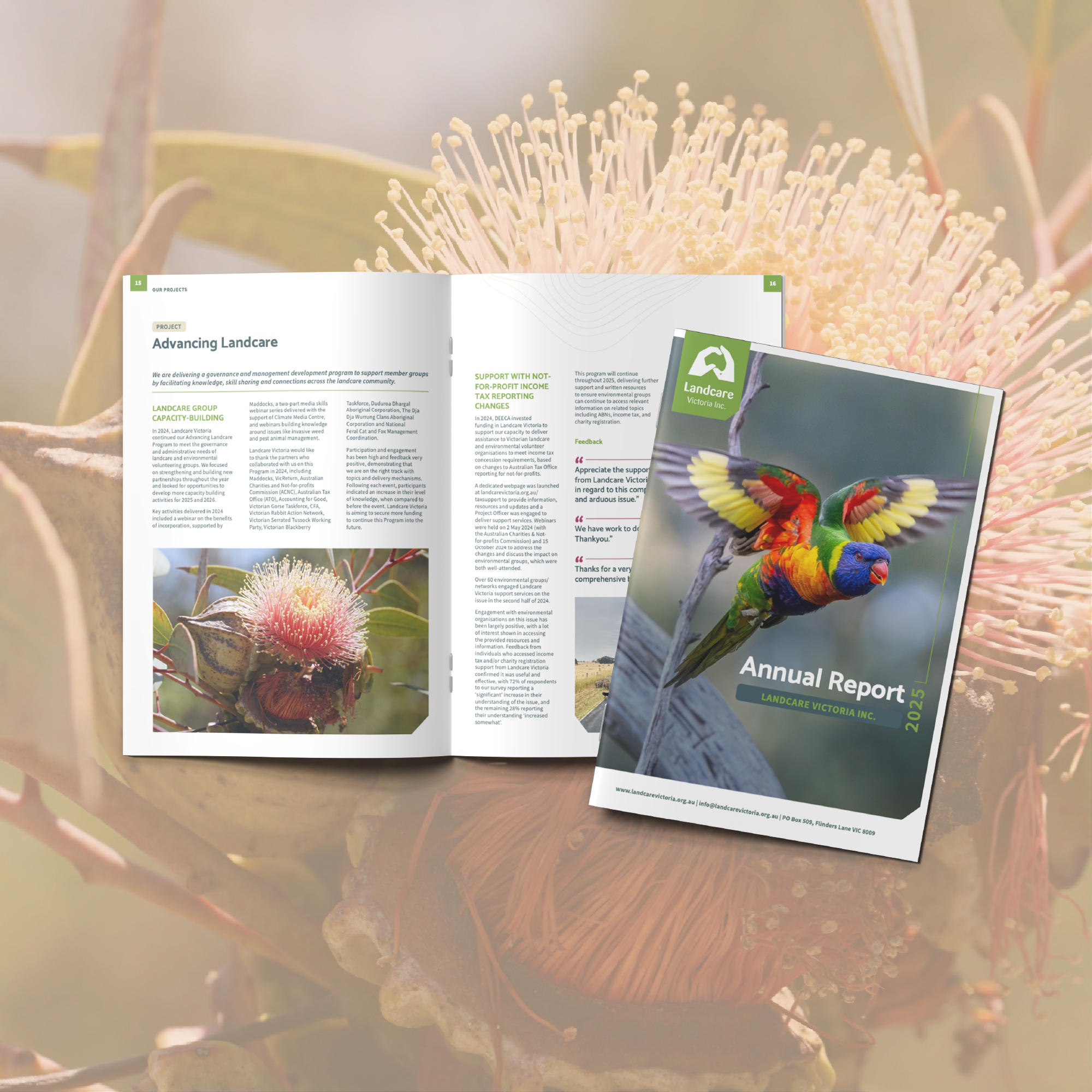 Landcare Victoria Inc. 2025 Annual Report cover and Advancing Landcare spread with native plant photography