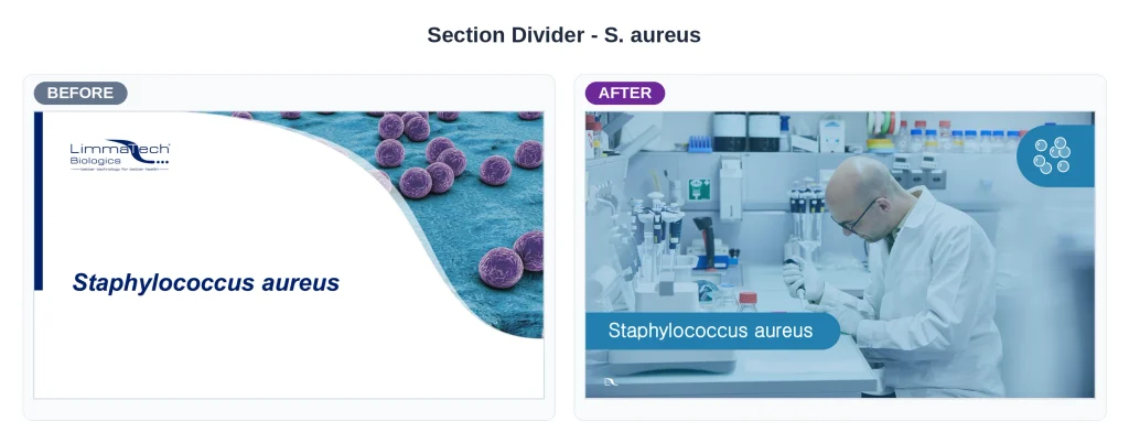 Limmatech presentation staph before and after by a powerpoint designer