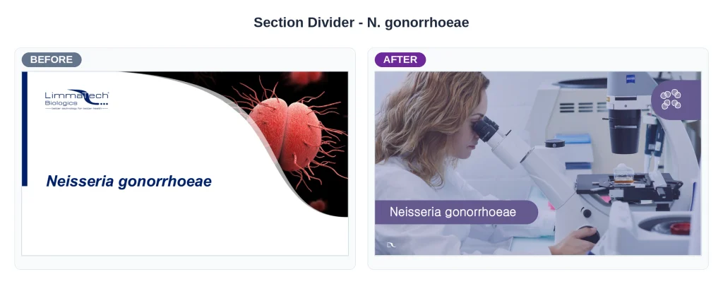 Limmatech gonnorrhoeae before and after by a powerpoint designer