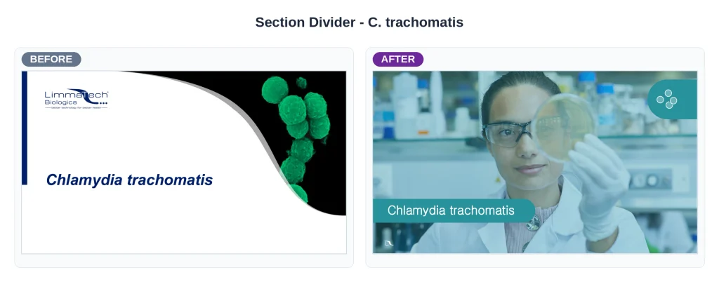 Limmatech presentation chlamydia before and after by a powerpoint designer